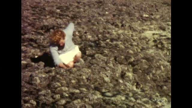 Baie d'Authie, fête du Stade, fête des fleurs, Berck, Le Touquet